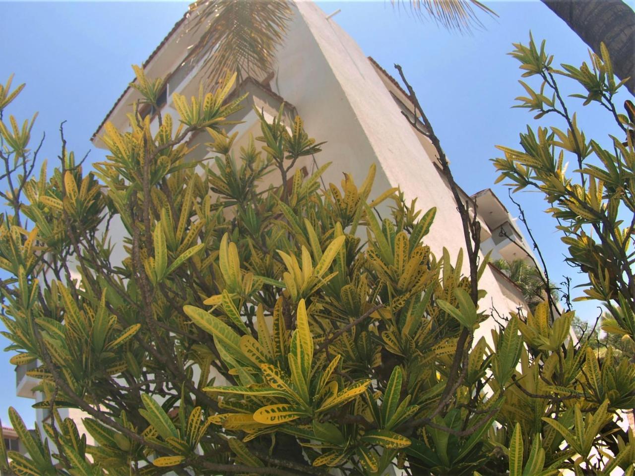 מנסניו Suites Las Palmas Hotel Y Villas מראה חיצוני תמונה
